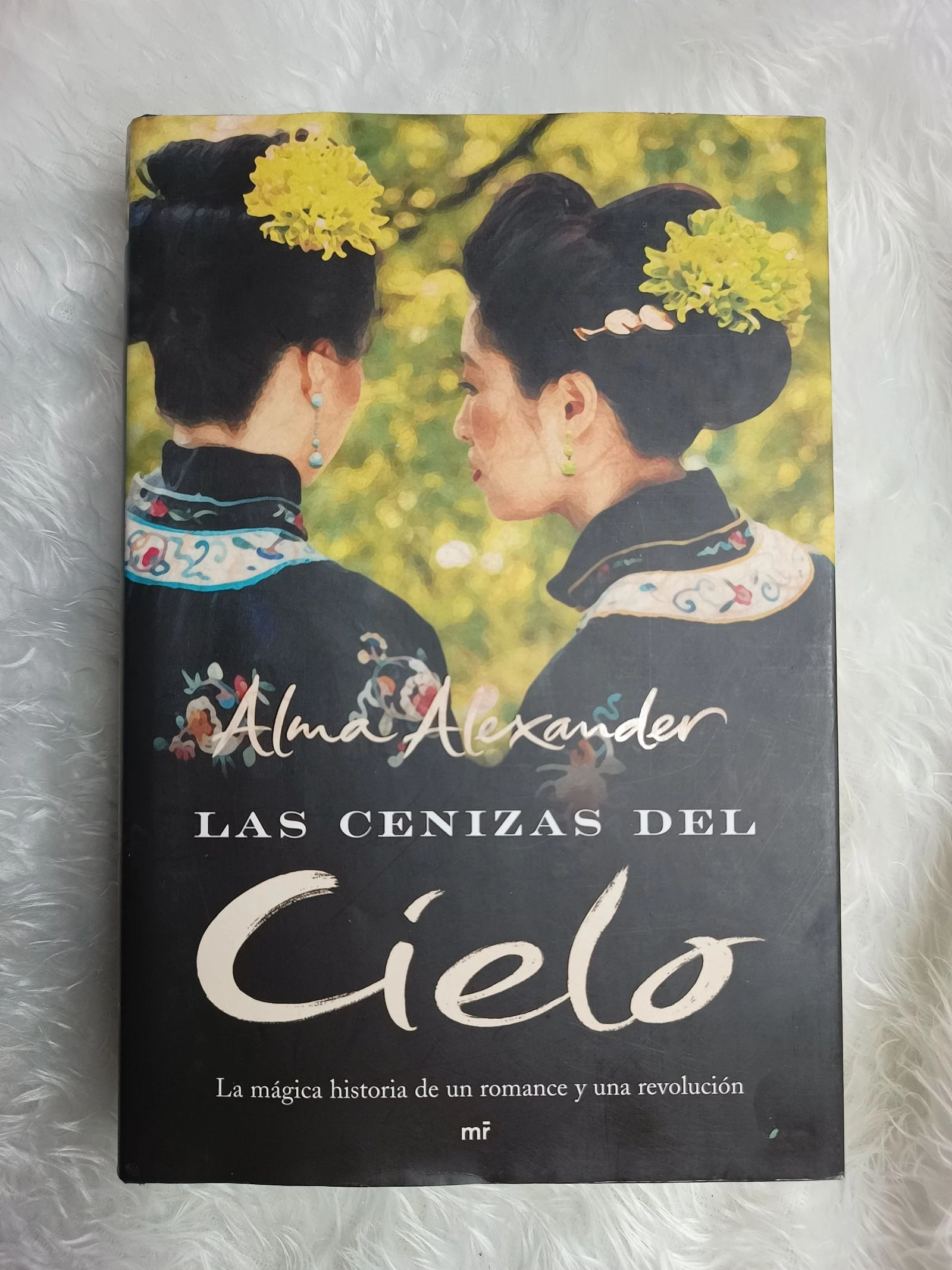 Libro Las Cenizas del Cielo